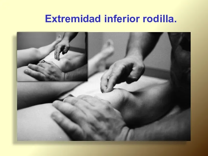 Extremidad inferior rodilla.