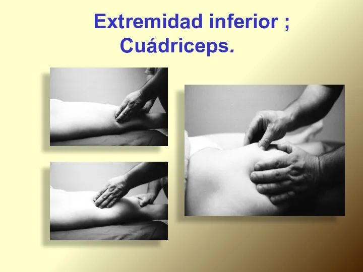 Extremidad inferior ; Cuádriceps.