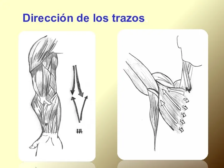 Dirección de los trazos.