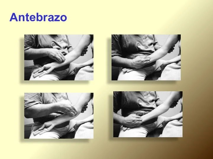 Antebrazo