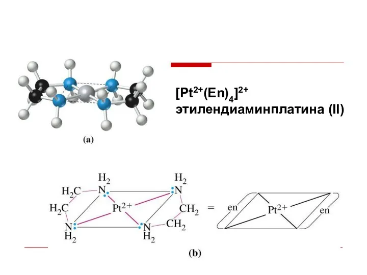 [Pt2+(Еn)4]2+ этилендиаминплатина (II)