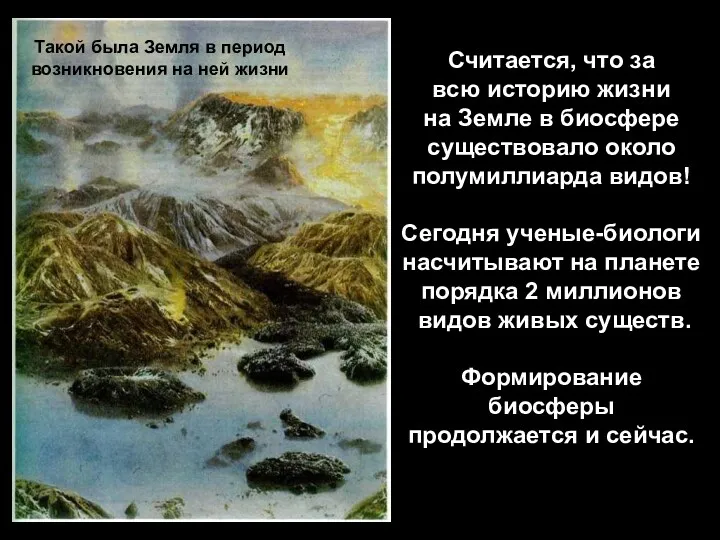 Считается, что за всю историю жизни на Земле в биосфере