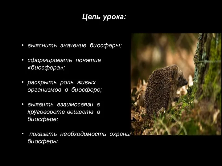 Цель урока: выяснить значение биосферы; сформировать понятие «биосфера»; раскрыть роль