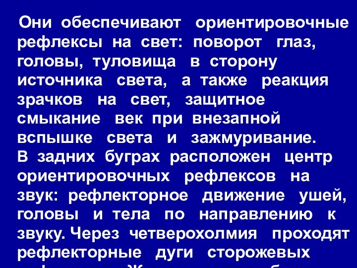 Они обеспечивают ориентировочные рефлексы на свет: поворот глаз, головы, туловища