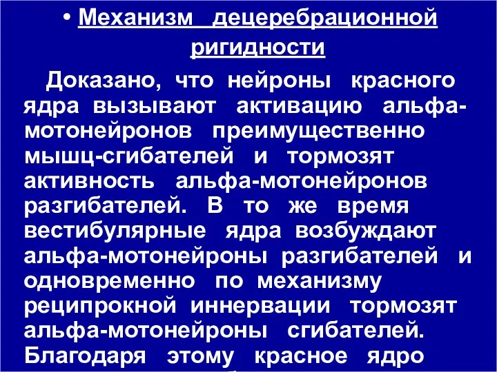 Механизм децеребрационной ригидности Доказано, что нейроны красного ядра вызывают активацию