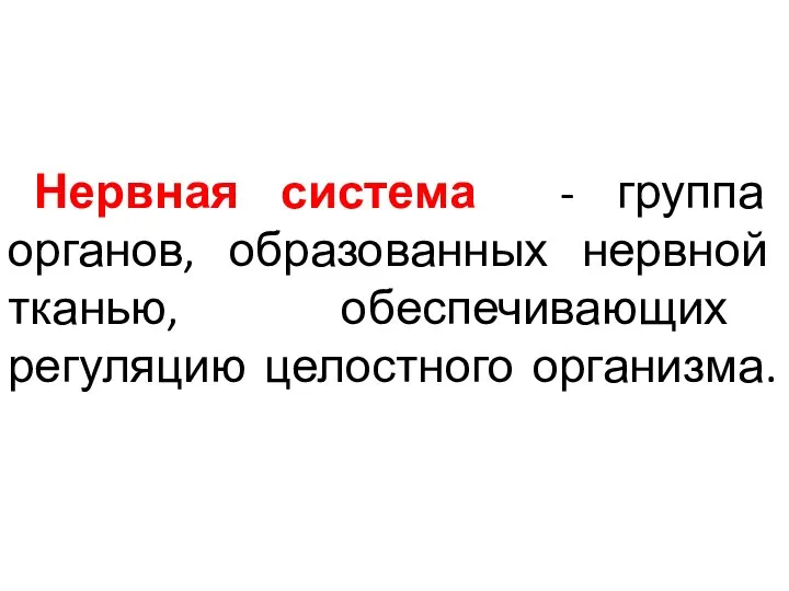 Нервная система - группа органов, образованных нервной тканью, обеспечивающих регуляцию целостного организма.