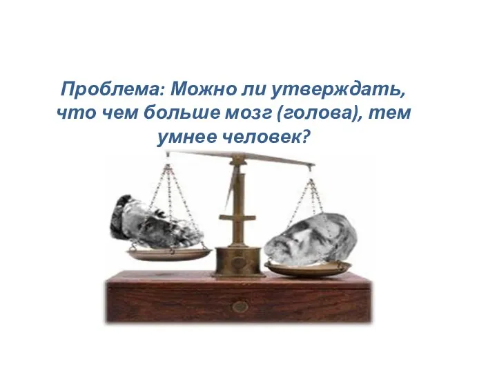 Проблема: Можно ли утверждать, что чем больше мозг (голова), тем умнее человек?