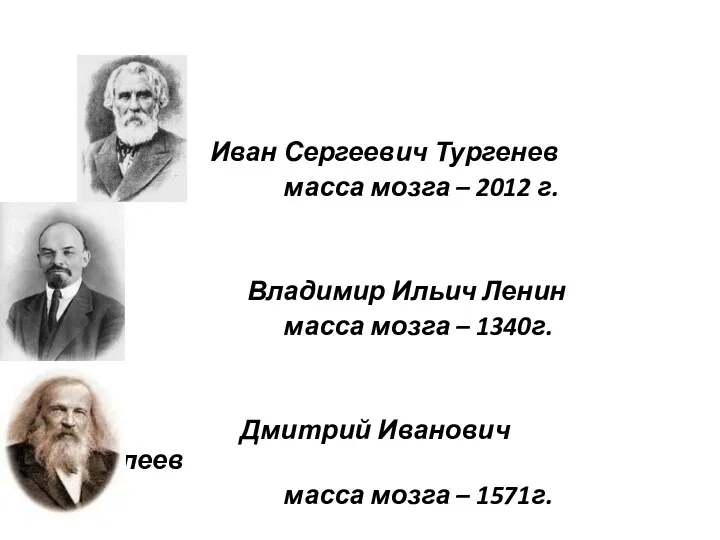 Иван Сергеевич Тургенев масса мозга – 2012 г. Владимир Ильич