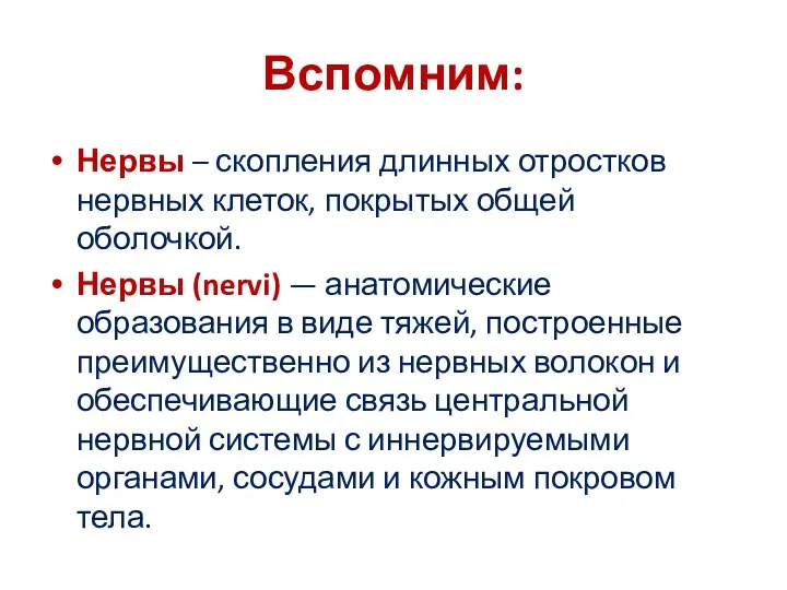 Вспомним: Нервы – скопления длинных отростков нервных клеток, покрытых общей