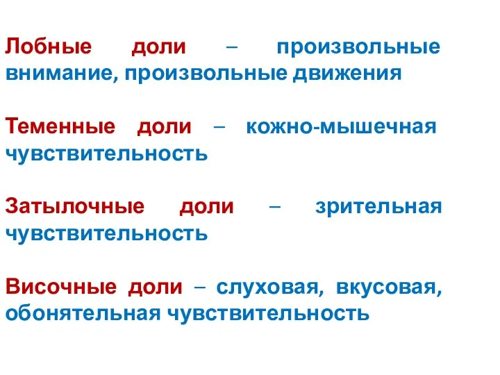 Лобные доли – произвольные внимание, произвольные движения Теменные доли –