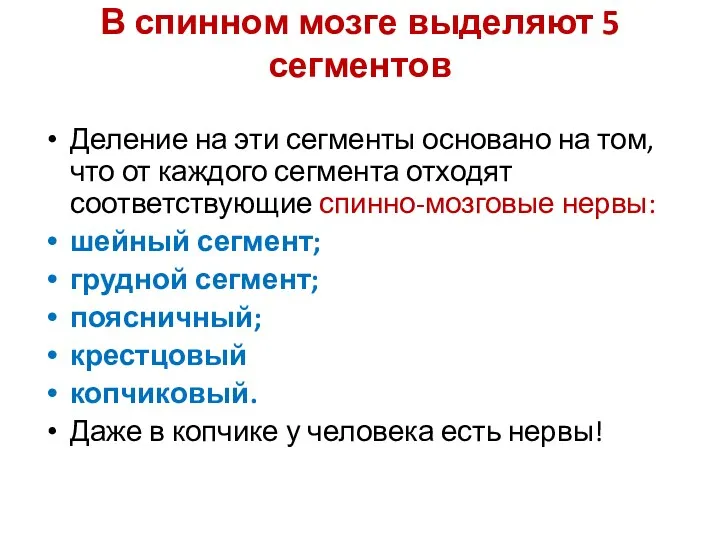 В спинном мозге выделяют 5 сегментов Деление на эти сегменты