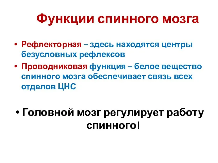 Функции спинного мозга Рефлекторная – здесь находятся центры безусловных рефлексов