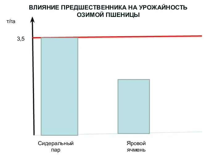 т/га 3,5 Сидеральный пар Яровой ячмень ВЛИЯНИЕ ПРЕДШЕСТВЕННИКА НА УРОЖАЙНОСТЬ