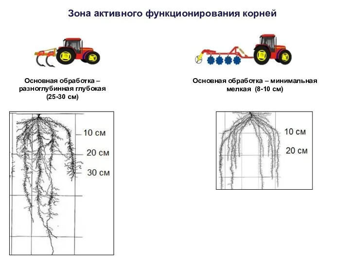 Зона активного функционирования корней Основная обработка – разноглубинная глубокая (25-30