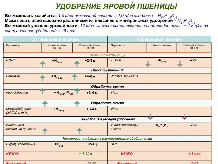 Кафедра Общего земледелия, заиты растений и селекции УДОБРЕНИЕ ЯРОВОЙ ПШЕНИЦЫ