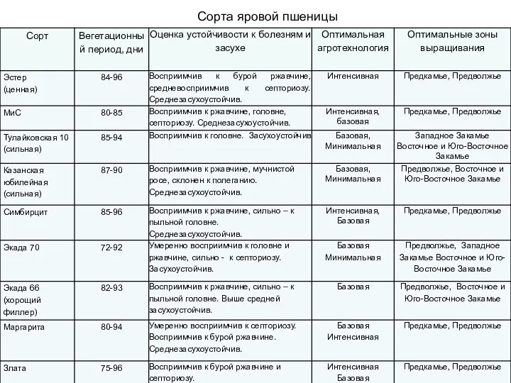 Сорта яровой пшеницы