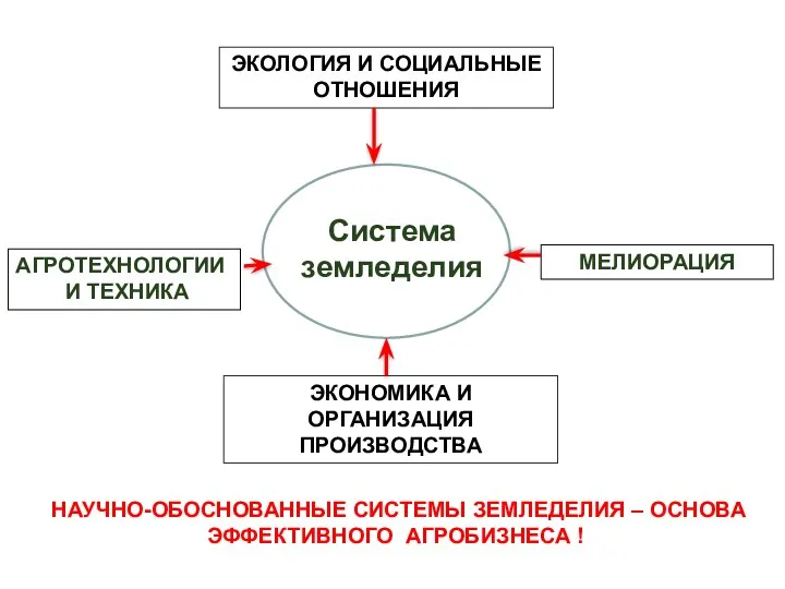 Система земледелия ЭКОНОМИКА И ОРГАНИЗАЦИЯ ПРОИЗВОДСТВА ЭКОЛОГИЯ И СОЦИАЛЬНЫЕ ОТНОШЕНИЯ