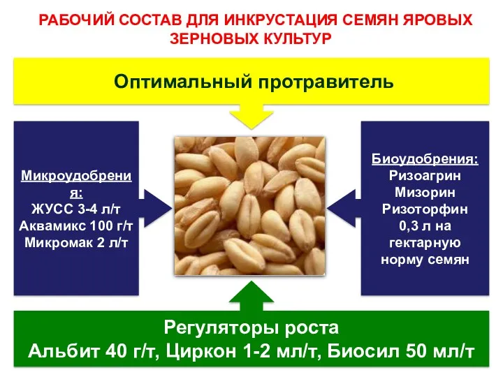 РАБОЧИЙ СОСТАВ ДЛЯ ИНКРУСТАЦИЯ СЕМЯН ЯРОВЫХ ЗЕРНОВЫХ КУЛЬТУР Оптимальный протравитель