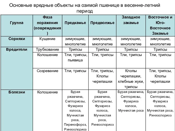 Основные вредные объекты на озимой пшенице в весенне-летний период