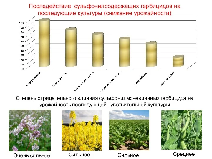 Последействие сульфонилсодержащих гербицидов на последующие культуры (снижение урожайности) Степень отрицательного