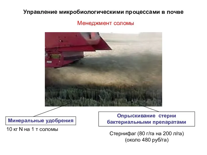 Управление микробиологическими процессами в почве Менеджмент соломы Минеральные удобрения Опрыскивание