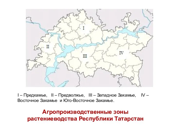 I – Предкамье, II – Предволжье, III – Западное Закамье,