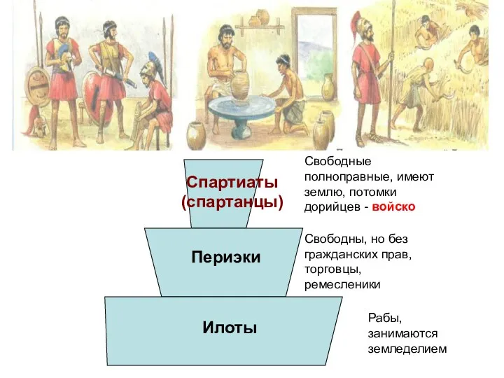 Спартиаты (спартанцы) Периэки Рабы, занимаются земледелием Илоты