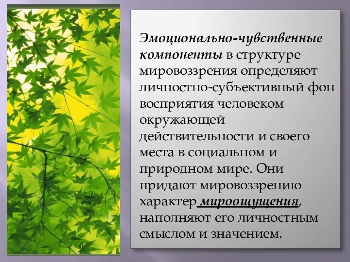 Эмоционально-чувственные компоненты в структуре мировоззрения определяют личностно-субъективный фон восприятия человеком