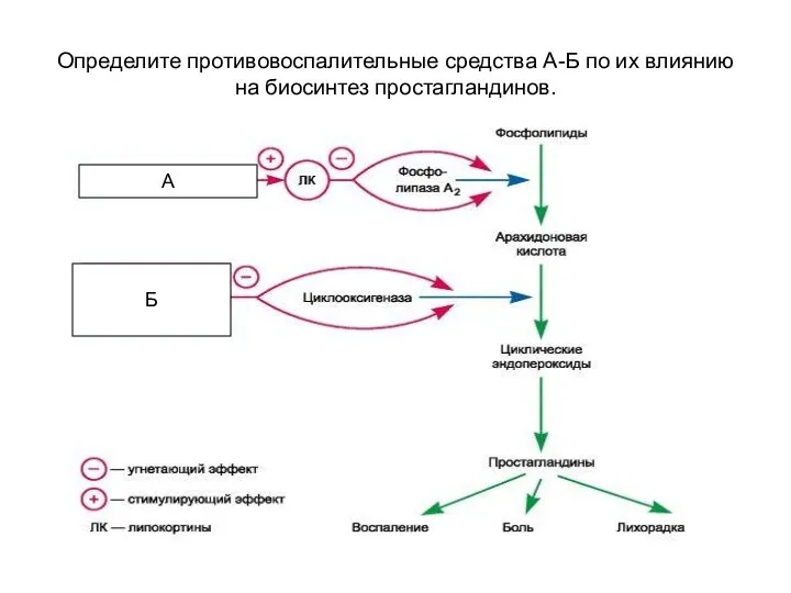 Определите противовоспалительные средства А-Б по их влиянию на биосинтез простагландинов. Б А