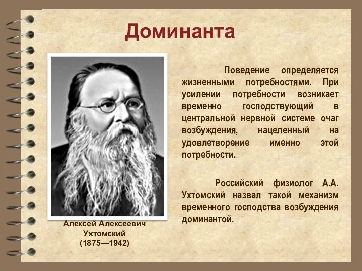 Доминанта Поведение определяется жизненными потребностями. При усилении потребности возникает временно