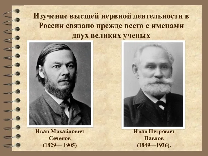 Изучение высшей нервной деятельности в России связано прежде всего с именами двух великих ученых