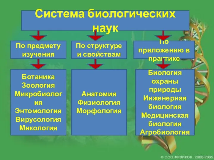 Система биологических наук По предмету изучения По структуре и свойствам