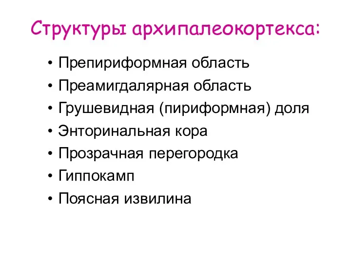 Структуры архипалеокортекса: Препириформная область Преамигдалярная область Грушевидная (пириформная) доля Энторинальная кора Прозрачная перегородка Гиппокамп Поясная извилина