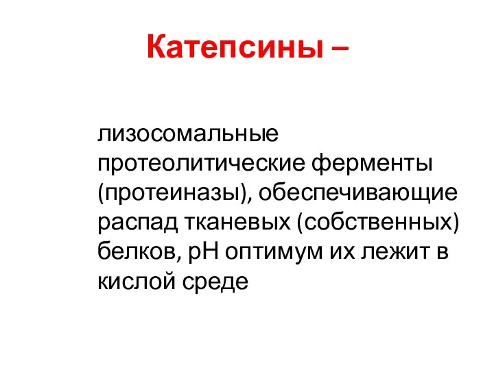 Катепсины – лизосомальные протеолитические ферменты (протеиназы), обеспечивающие распад тканевых (собственных)