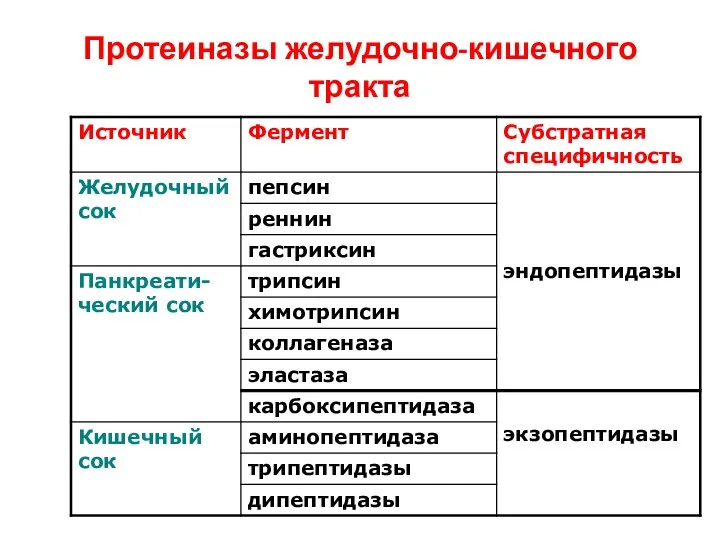 Протеиназы желудочно-кишечного тракта