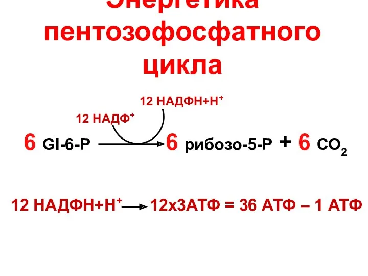 Энергетика пентозофосфатного цикла 6 Gl-6-P 6 рибозо-5-P + 6 СО2