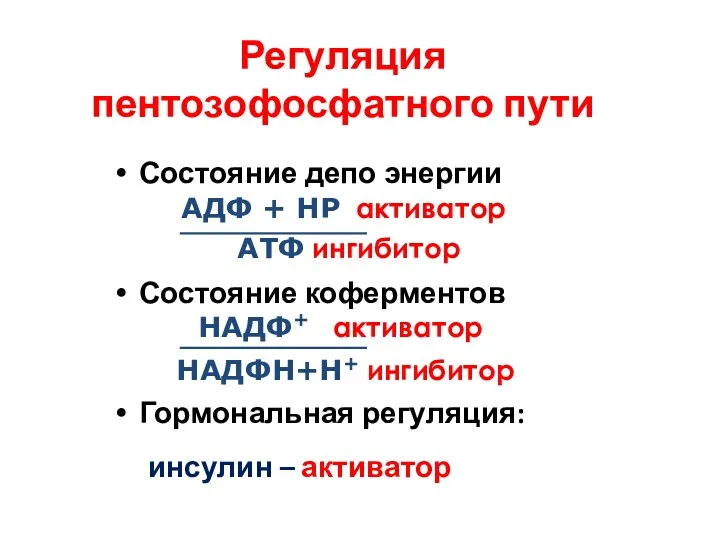 Регуляция пентозофосфатного пути Состояние депо энергии Состояние коферментов Гормональная регуляция: