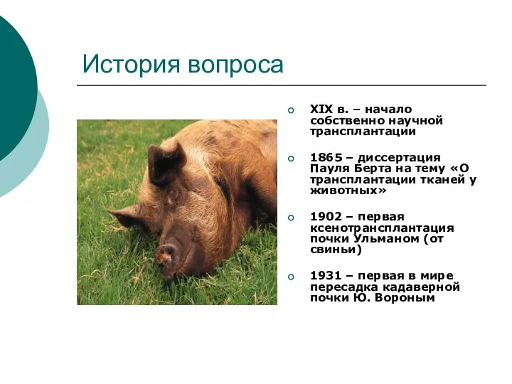 История вопроса XIX в. – начало собственно научной трансплантации 1865 – диссертация Пауля