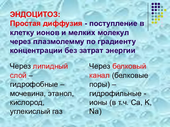 ЭНДОЦИТОЗ: Простая диффузия - поступление в клетку ионов и мелких молекул через плазмолемму