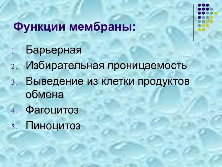 Функции мембраны: Барьерная Избирательная проницаемость Выведение из клетки продуктов обмена Фагоцитоз Пиноцитоз