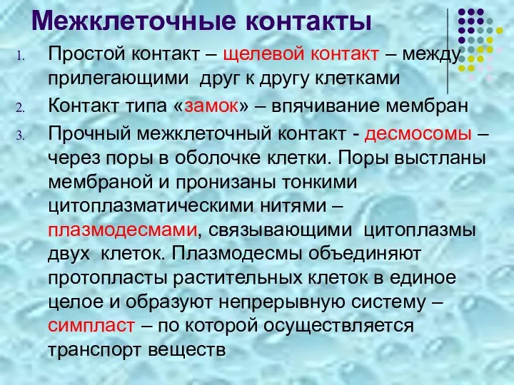 Межклеточные контакты Простой контакт – щелевой контакт – между прилегающими друг к другу