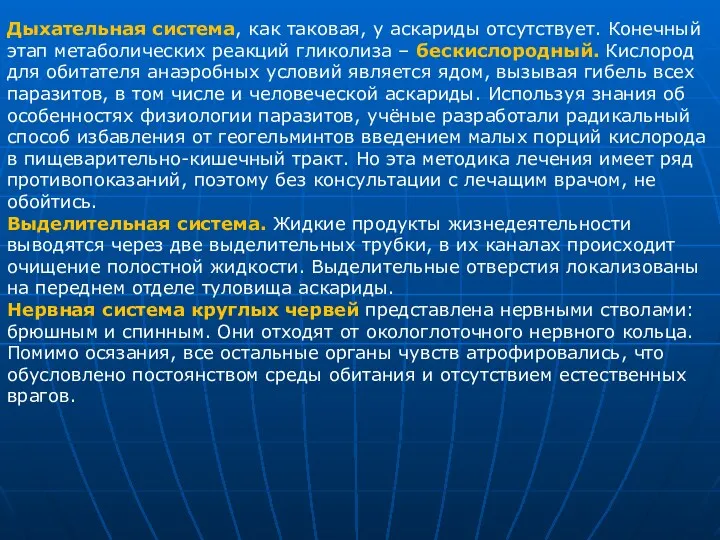 Дыхательная система, как таковая, у аскариды отсутствует. Конечный этап метаболических