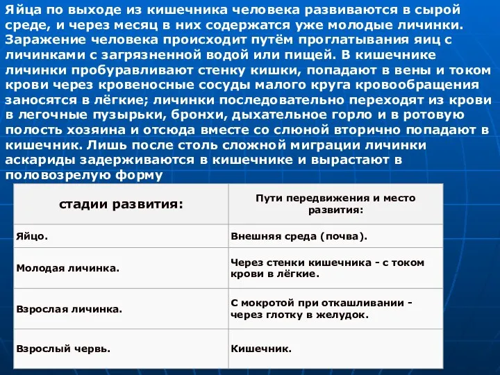 Яйца по выходе из кишечника человека развиваются в сырой среде, и через месяц