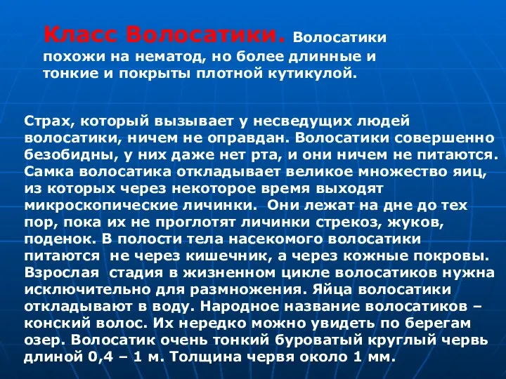 Страх, который вызывает у несведущих людей волосатики, ничем не оправдан. Волосатики совершенно безобидны,