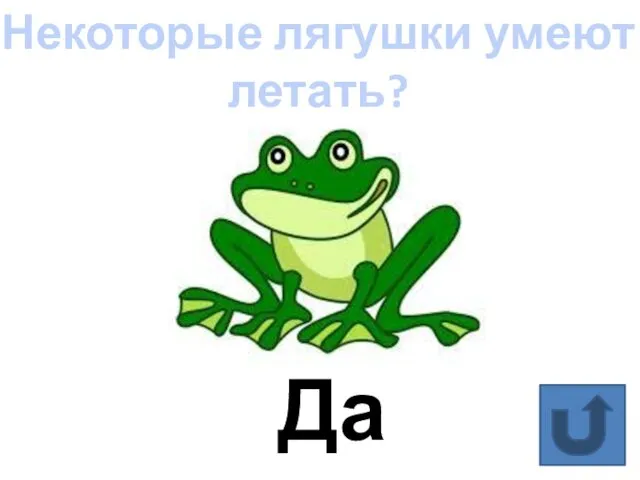 Некоторые лягушки умеют летать? Да