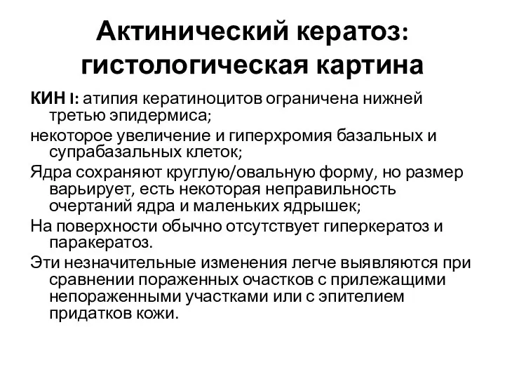 Актинический кератоз: гистологическая картина КИН I: атипия кератиноцитов ограничена нижней