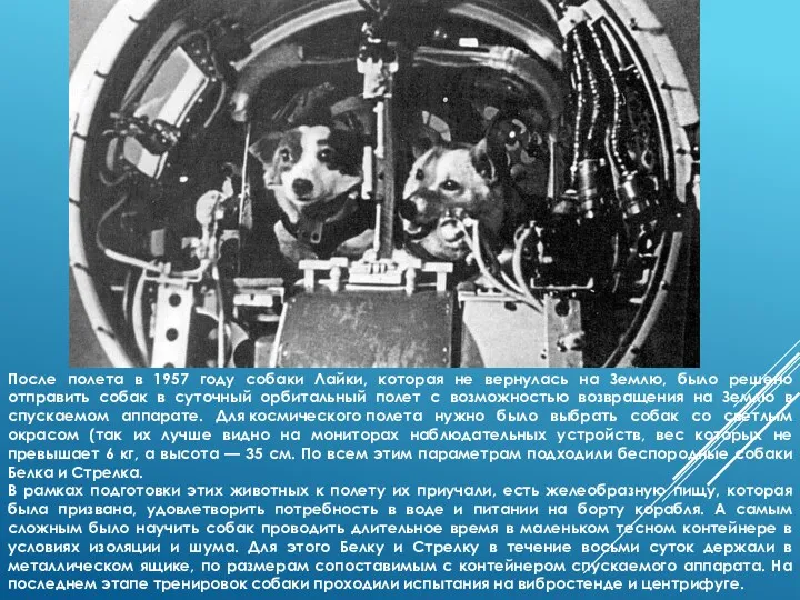 После полета в 1957 году собаки Лайки, которая не вернулась