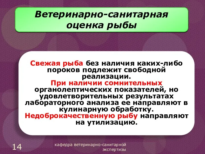 Ветеринарно-санитарная оценка рыбы Свежая рыба без наличия каких-либо пороков подлежит