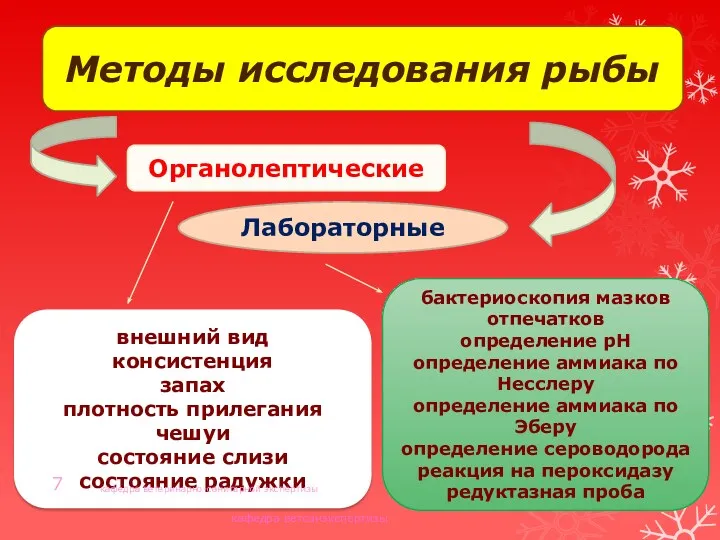 кафедра ветсанэкспертизы Методы исследования рыбы Органолептические Лабораторные внешний вид консистенция