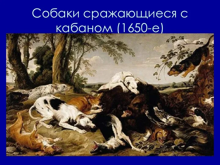 Собаки сражающиеся с кабаном (1650-е)